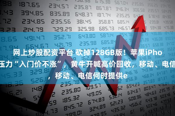 网上炒股配资平台 砍掉128GB版！苹果iPhone17顶住压力“入门价不涨”，黄牛开喊高价回收，移动、电信何时提供e